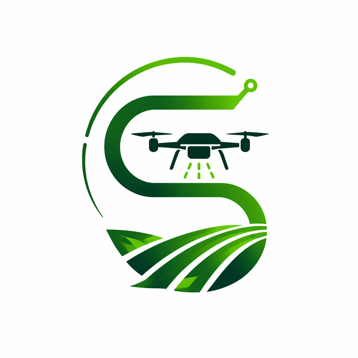 Drone SkyService